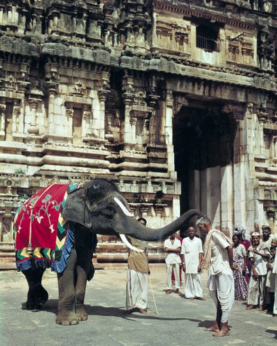 A Man Being Blessed by an Elephant at Varadarajaswamy Temple by Unbekannt Unbekannt